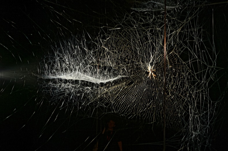Hyperweb of the present de Tomas Saraceno