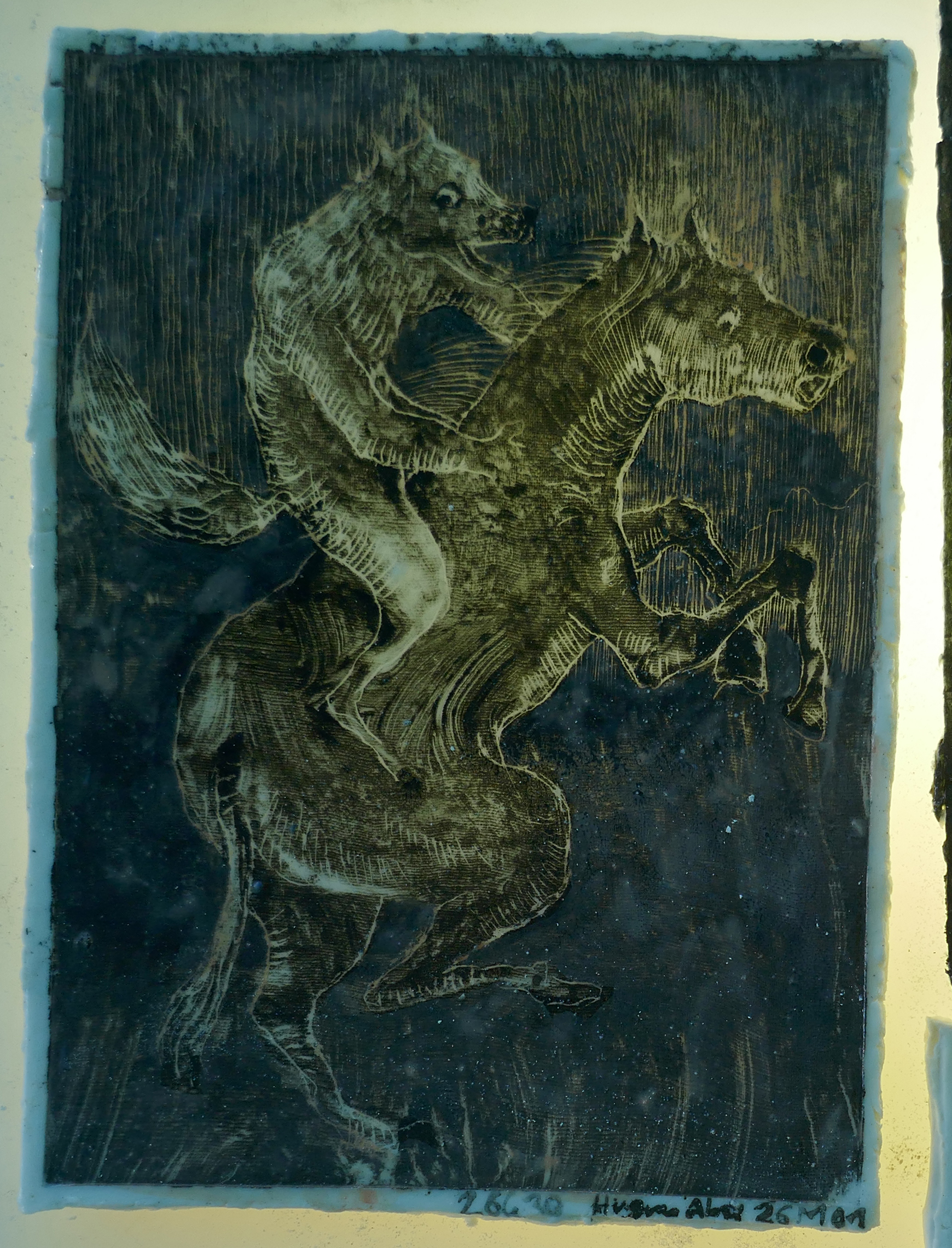 26Ce30.26M01 (13.5x18.8)'